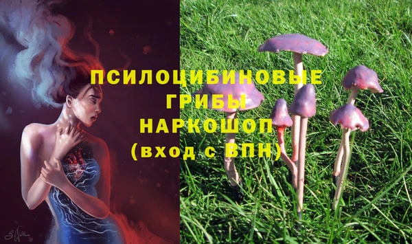 прущие крисы Алексеевка