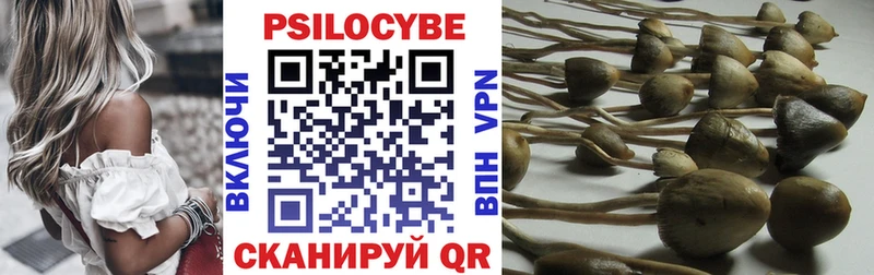Псилоцибиновые грибы Cubensis  даркнет сайт  Невинномысск 
